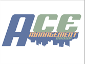 Ace Management Group LLC